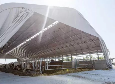 stabulation d'élevage sur la base d'un tunnel agricole